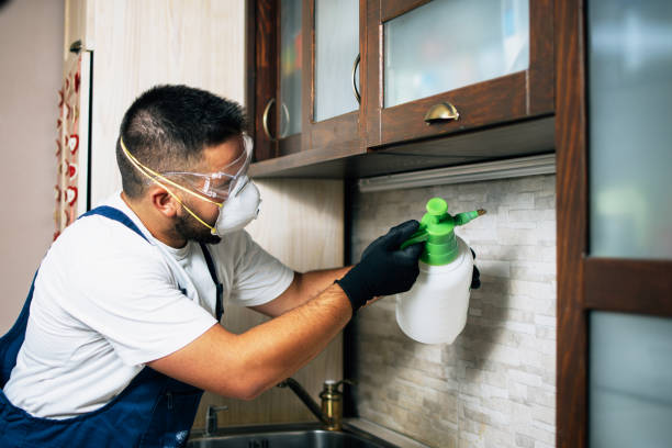 Best Commercial Pest Control Services  in Malvern, PA