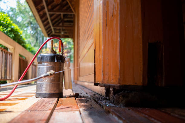 Wasp Removal Services in Malvern, PA