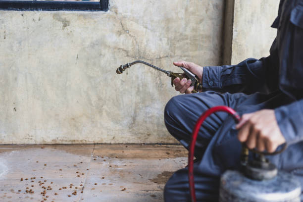 Best Residential Pest Control  in Malvern, PA