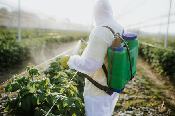 Best Local Pest Control Services  in Malvern, PA